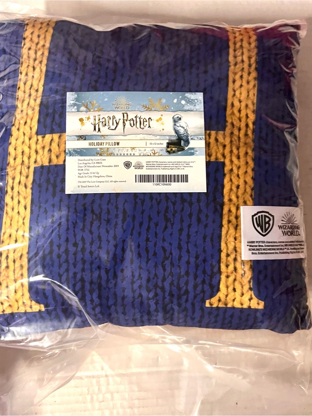 Harry Potter PILLOW Wizarding World Loot Crate DOUBLE Initials H Harry & R Ron